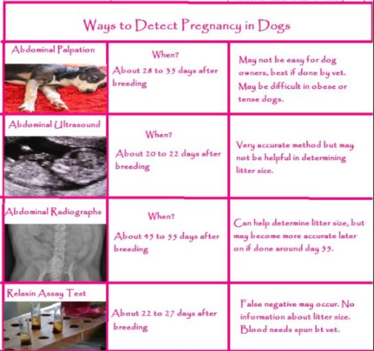 Do Human Pregnancy Tests Work for Dogs? - Whelping Puppies